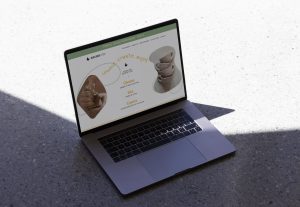 Black Duck Studio ceramic website design